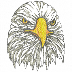 Eagle And Falcon Embroidery Design 6 Eagle And Falcon Embroidery Design 6
